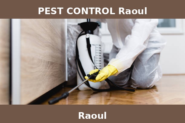 PEST CONTROL Raoul